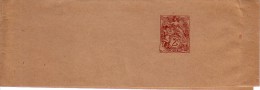 ENTIER POSTAL POUR JOURNAUX.TYPE BLANC. - Bandes Pour Journaux