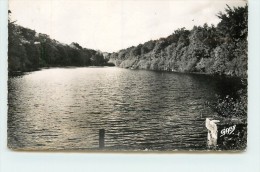 SAINT NICOLAS DU PELEM - Etang De Beaucours. - Saint-Nicolas-du-Pélem