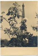 Albert Monier  23 Paris Fleurs De Paris Tour Eiffel - Monier