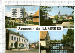 LUMBRES  -  Souvenir  -  4 Vues - Lumbres