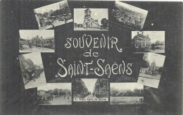 HAUTE NORMANDIE - 76 - SEINE MARITIME  -SAINS SAENS - Souvenir De - Carte Multivues - Saint Saens