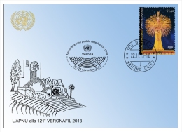ONU Genève 2013 - Blue Card VERONA 2013 Veronafil 22-24 Novembre.2013 - Cartes-maximum