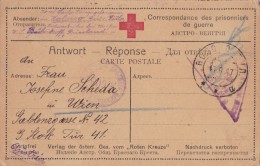 CARTE CAMP DE PRISONNIER DE GUERRE AUTRICHIEN EN RUSSIE  1917 - Brieven En Documenten