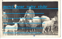 Cpp Portrait Famille BOUCHEZ Catherine Née GOLERE Enfant HENRI Et NICOLAS Ferme élévage Moutons Tonte - Genealogie