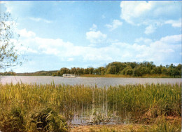 Malente Gremsmühlen - Langensee Bei Timmdorf - Malente-Gremsmuehlen