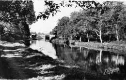 89 COULANGES Le Canal Du Nivernais CPSM - Coulanges Sur Yonne