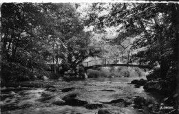 89 AVALLON Vallée Du Cousin, Route De PONTAUBERT, Pont Des GARDES CPSM - Coulanges Sur Yonne