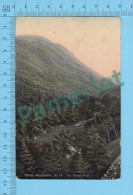 White Mountains N.H. ( The Dismal Pool ) Carte Postale Postcard Recto/verso - White Mountains