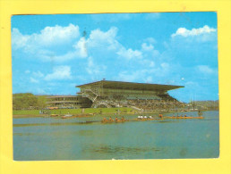 Postcard - Rowing      (V 23507) - Rowing