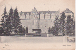 AK Celle - Königl. Schloss - 1906 (10747) - Celle