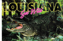 ALLIGATOR   -    Louisiana  -   Get  WILD - Other & Unclassified