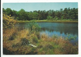 Kasterlee - Lichtaart - Jeugdcentrum HOGE RIELEN - Grote Vijver - Kasterlee