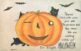 232163-Halloween, F.A. Owen No 864A, Black Cats Playing Around A Large Jack O Lantern, Bats Flying - Halloween