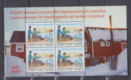 GROENLAND    1996       BF     N°  11       COTE    12 € 00 - Blocks & Kleinbögen