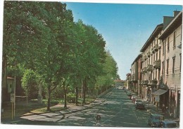 K2463 Busto Arsizio (Varese) - Via Ugo Foscolo - Giardini Pubblici - Auto Cars Voitures / Non Viaggiata - Busto Arsizio