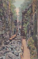 The Flume Gorge Franconia Notch White Mountains New Hampshire 1917 - White Mountains