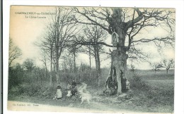 CHATEAUNEUF EN THYMERAIS - Le Chêne Lorette - Châteauneuf