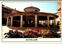 AUVILLAR 82 - La Halle Circulaire Sur La Place Centrale - 19.7.1994 - O-3 - Auvillar