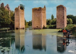 Cp , 86 , LUSSAC-les-CHÂTEAUX , Les Piles De L'ancien Pont-levis - Lussac Les Chateaux