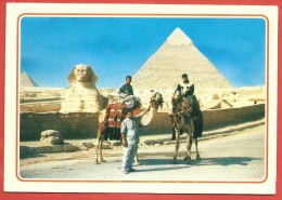 CARTOLINA NV EGITTO - GIZA - Cammelli - La Sfinge E La Piramide Di Chefren - 10 X 16 - Gizeh