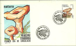 FDC 1983 - Cartas & Documentos