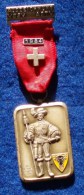 SWISS SHOOTING MEDAL , AUSZEICHNUNG USSV ASTV 1984 - Other & Unclassified