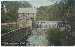 Blow Me Down Mill Cornish Water Mill Moulin From Woodstock Corbeau To Reiss Credit Lyonnais - Autres & Non Classés