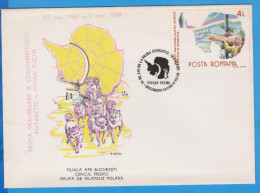 ROMANIA SPECIAL COVER VIVIAN FUCHS DOG ASKI ANTARCTICA - Polarforscher & Promis