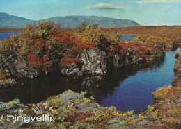 Iceland. Autum Landscape At Thingvellir.   Sent To Denmark.  # 04285 - Islanda