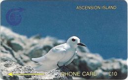 Ascension Isl. - Fairy Tern, 2CASB, 1992, 4.997ex, Used - Ascension (Insel)