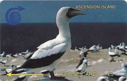 Ascension Isl. - White Booby Bird, 2CASA, 1991, 5.250ex, Used - Islas Ascensión