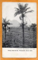 Sierra Leone 1905 Postcard - Sierra Leone