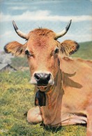 Cp , ANIMAUX , "La Reine Des Vaches" - Mucche