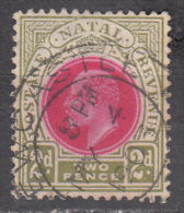 Natal    Scott No   84    Used    Year  1902 - Natal (1857-1909)