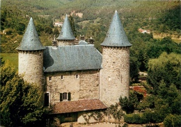 CPSM Chamborigaud-Château De Montjoye  L1830 - Chamborigaud