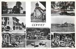 Réf : A-15-0327  :  COPPET - Coppet