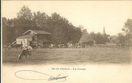 78-  Yvelines _Ile De Chatou _ La Ferme  (les Vaches ) - Chatou