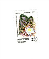 N6056 - Russie  1994  --  Le  Magnifique  TIMBRE  N° 6056 (YT)  Neuf**  --  FLORE  :  Cactées - Unused Stamps