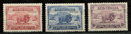 (cl 22 - P28) Australie N° 97 Ob, 98**, 99 * - Bélier Mérinos - - Usati