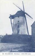 BAASRODE Bij Dendermonde (O.Vl.) - Molen/moulin - Blauwe Prentkaart Ons Molenheem Van De Verdwenen Heirbaanmolen - Dendermonde