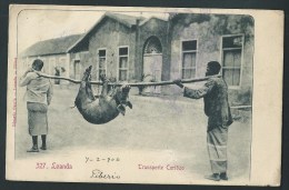 Afrique. Angola. Loanda. Transporte Curiôzo. Transport Curieux. 1906. 2  Scans. - Angola