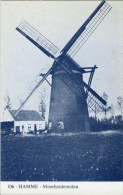 HAMME (O.Vl.) - Molen/moulin - Blauwe Prentkaart Ons Molenheem Van De Verdwenen Moerheidemolen Of Molen Roels - Hamme