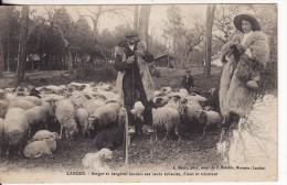 MORCENX (Landes) Berger Et Bergères Landais Sur Echasses, Filant  Tricotant La Laine De Mouton-ANIMAUX-METIER-INDUSTRIE - Morcenx