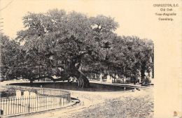 [DC5116] CARTOLINA - STATI UNITI - CHARLESTON S.C. - OLD OAK TREE MAGNOLIA CEMETERY - Viaggiata 1907 - Old Postcard - Charleston