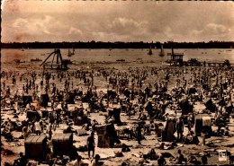 BERLIN..STRANDBAD WANNSEE ...CPSM GRAND FORMAT ANIMEE - Wannsee