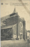 Diest   O.L.V. Kerk;   1924  Naar  Borinage - Diest