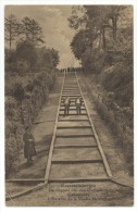 Geraardsbergen (Geeraardsbergen). Grammont. De Trappen Van Den Oudenberg. L'escalier De La Vieille Montagne. Stemp. 1933 - Geraardsbergen