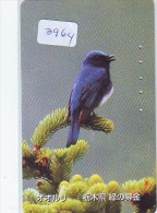 Télécarte Japon  OISEAU *  * BIRD * VOGEL (3964) PHONECARD JAPAN * TELEFONKARTE * - Sperlingsvögel & Singvögel