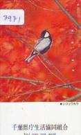 Télécarte Japon  OISEAU *  * BIRD * VOGEL (3971) PHONECARD JAPAN * TELEFONKARTE * - Passereaux