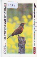 Télécarte Japon  OISEAU *  * BIRD * VOGEL (3973) PHONECARD JAPAN * TELEFONKARTE * - Passereaux